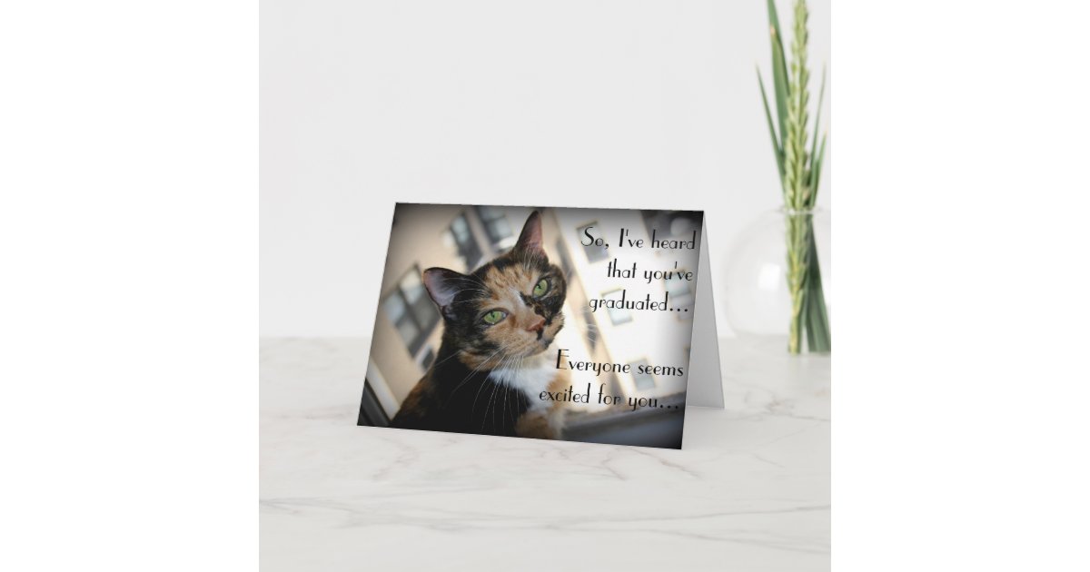 Happy Graduation from Aloof Cat Card | Zazzle