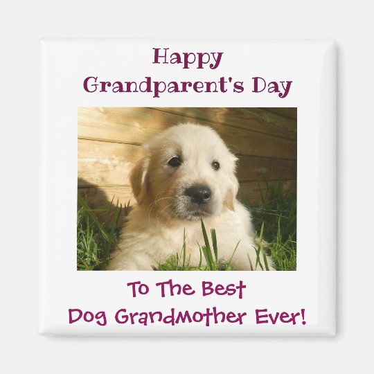 Happy Grandparent's Day Best Dog Grandmother Photo