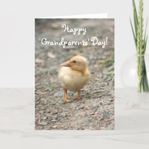 Happy Grandparents Day Duckling greeting card