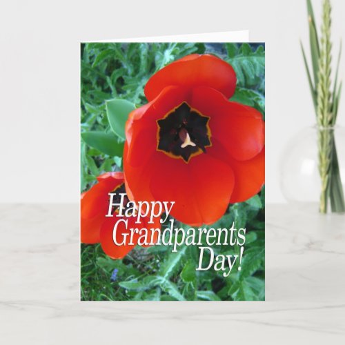 Happy Grandparents Day Grandma _ Poppy Flowers Card