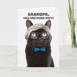 Happy Grandparents Day Grandpa Old Man Cat Humor Holiday Card