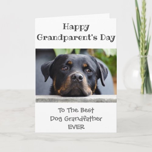 Happy Grandparents Day to Grandfather from the Dog Card