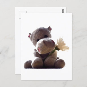 Happy Gray Hippo Holding Daisy, Cute Love Photo Postcard