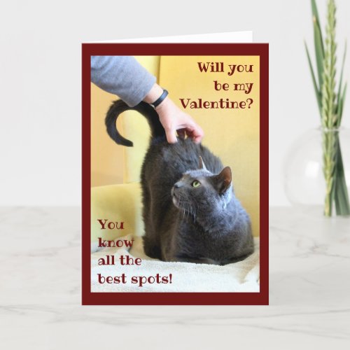 Happy Grey Cat with Tail Up                Holiday Card