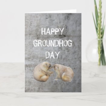 Happy Groundhog Day Card by fotoplus at Zazzle
