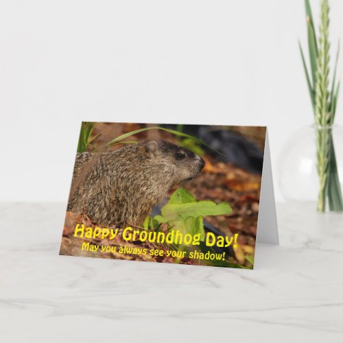 Happy Groundhog Day  Card