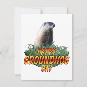 Happy Groundhog Day Card by bhymer at Zazzle