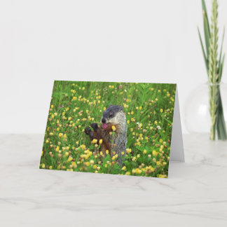 Happy Groundhog Day Card! Card
