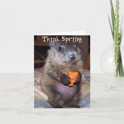 Happy Groundhog Day Card with Baby Maude