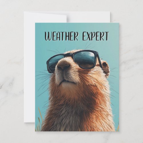 Happy Groundhog Day Cute Colorful Woodchuck Holiday Card Happy Groundhog Day Cute Colorful Woodchuck Holiday Card