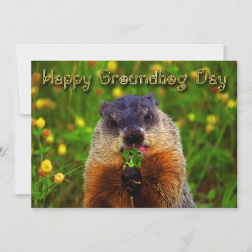 Happy Groundhog Day Eating Flower Invitation