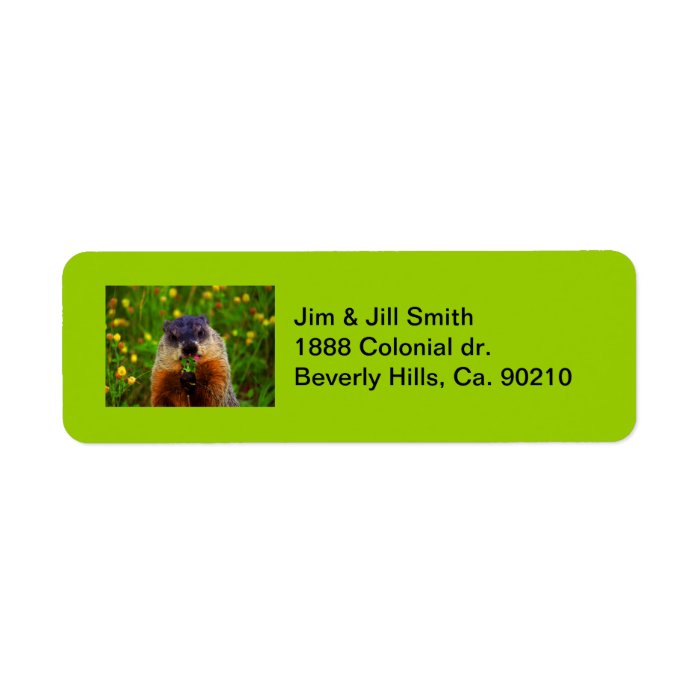 Happy Groundhog Day Eating Flower Return Address Labels