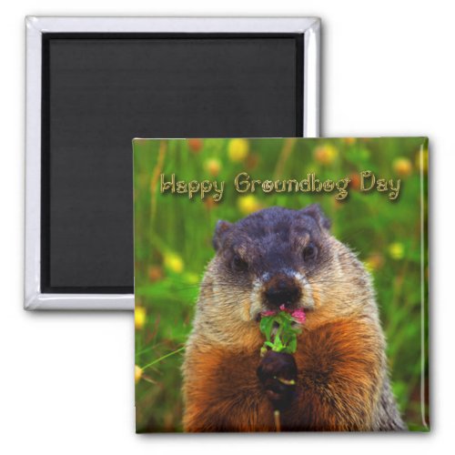 Happy Groundhog Day Eating Flower Magnet