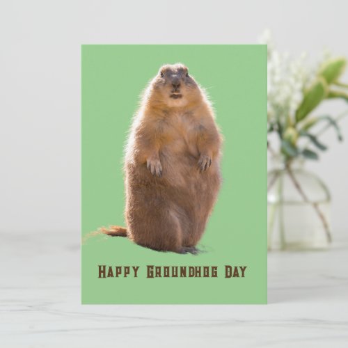 Happy Groundhog Day Funny  Holiday Card