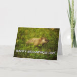Happy Groundhog Day! greeting card