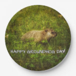 Happy Groundhog Day! paper plates