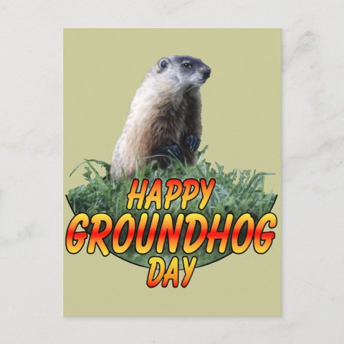 Happy Groundhog Day Postcard