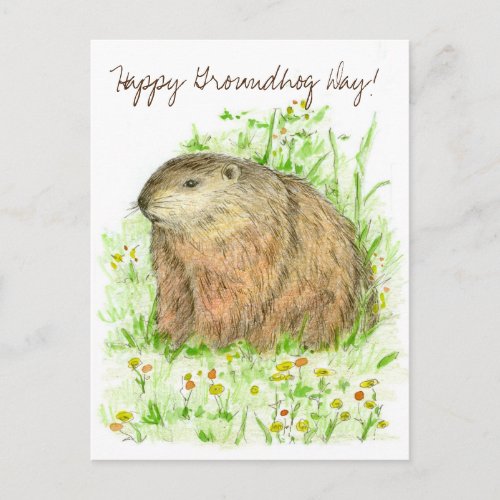 Happy Groundhog Day Woodchuck Animal Art Postcard