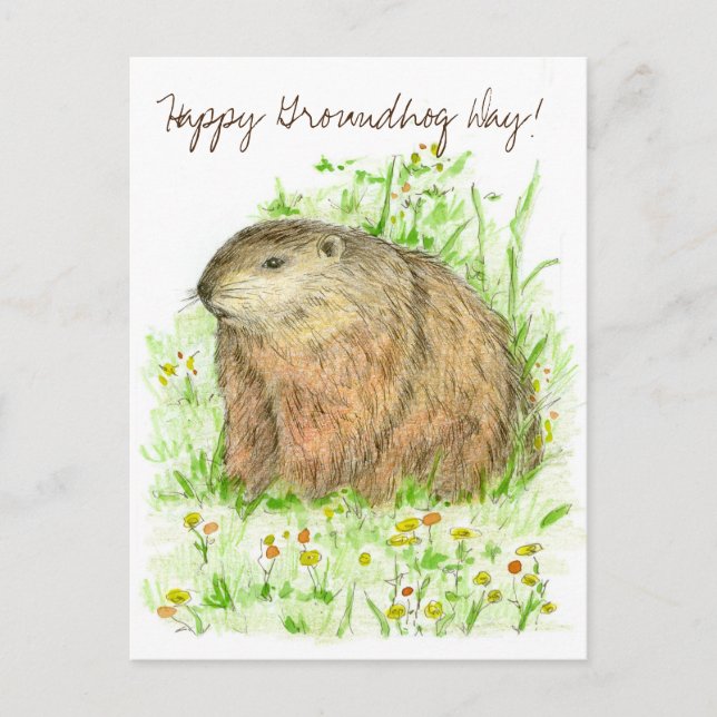 Happy Groundhog Day Woodchuck Animal Art Postcard (Front)