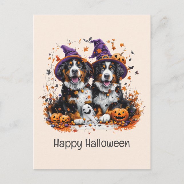 Happy Halloween Bernese Mountain Dogs Postcard (Front)