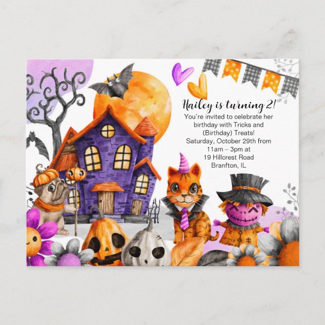 Happy Halloween Birthday - Cat, Pug, Scarecrow Postcard (Front)