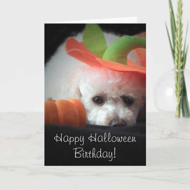 Happy Halloween Birthday poodle card (Front)