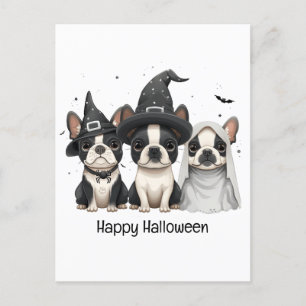Happy Halloween Boston Terrier Dogs Postcard