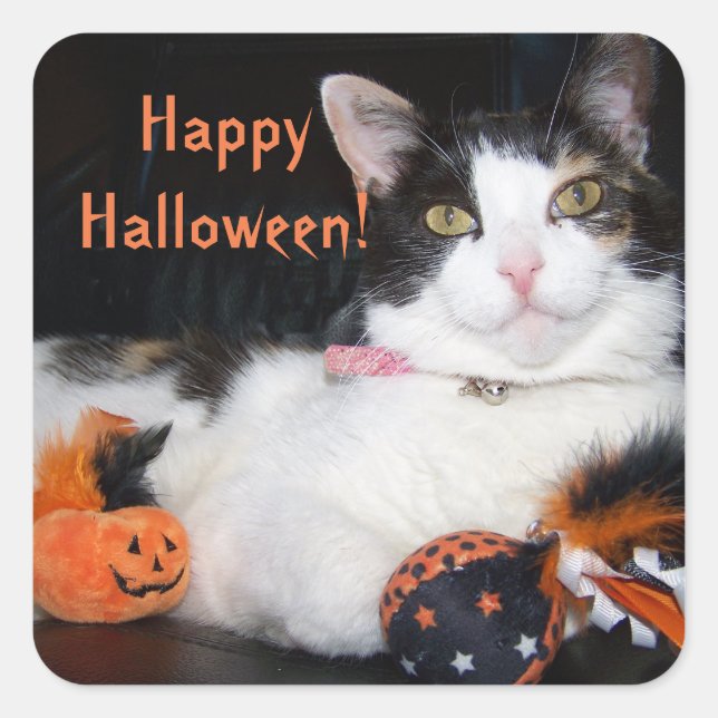 Happy Halloween Cat Calico Kitty Square Sticker (Front)