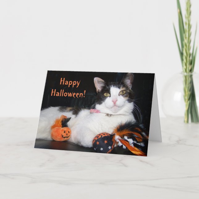Happy Halloween Cat Calico Kitty with Pumpkin Card (Front)
