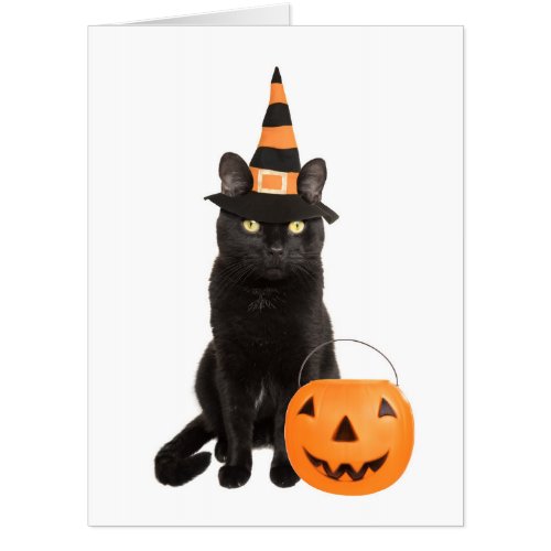 Happy Halloween Cat Dressed as Witch Humor Card