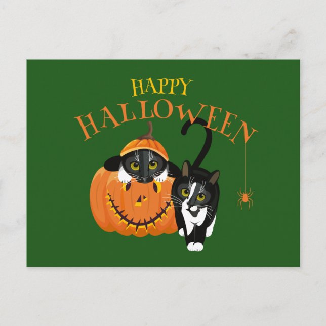 Happy Halloween Cat fun Postcard (Front)