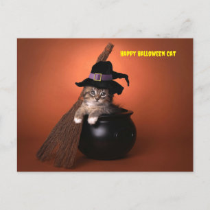 Happy Halloween Cat Holiday Postcard