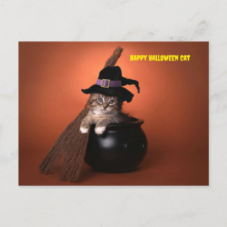 Happy Halloween Cat Holiday Postcard