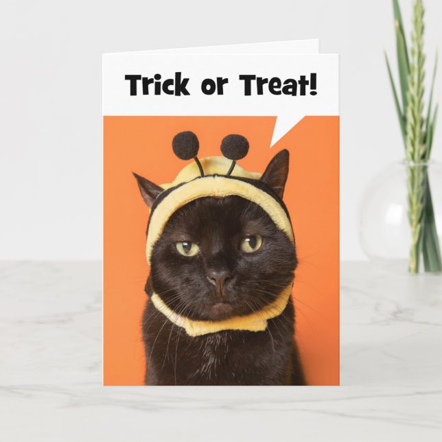 Happy Halloween Cat in Bee Costume Humor  Holiday Card (Front)