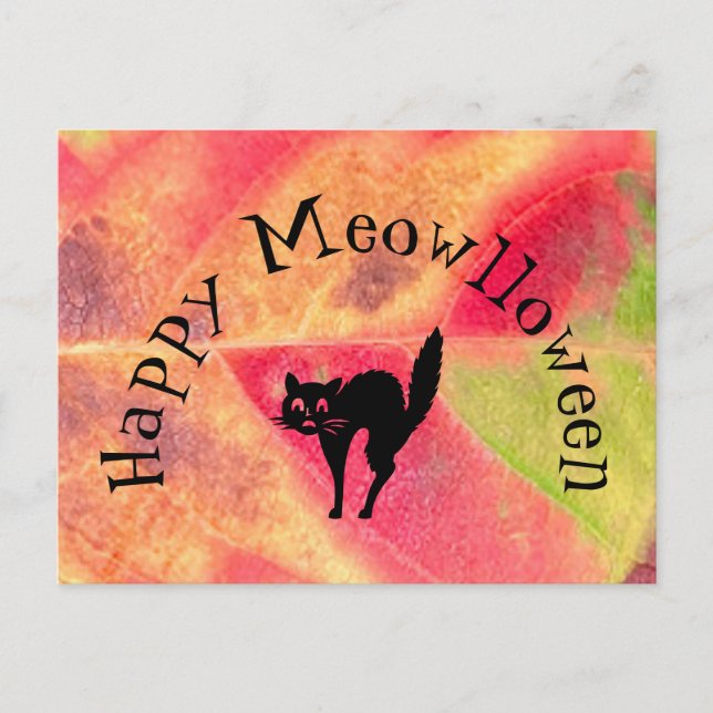 Happy Halloween Cat Meow Postcard (Front)