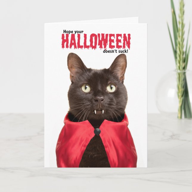 Happy Halloween Cat Vampire Humor Holiday Card (Front)