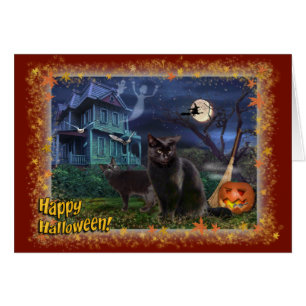 Happy Halloween Cats Cards