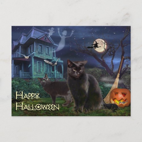 Happy Halloween Cats Postcard