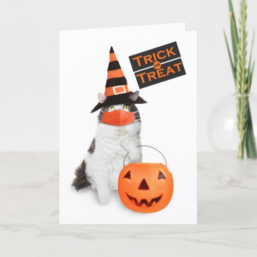 Happy Halloween Cute Cat in Coronavirus Face Mask Holiday Card