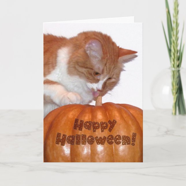 Happy Halloween Cute Cat with Pumpkin Card (Front)