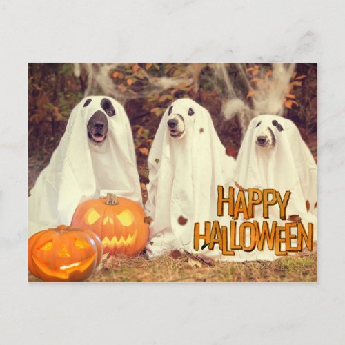 Happy Halloween Cute Dogs in Ghost Costumes Holiday Postcard