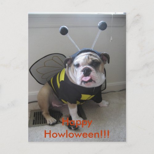 Happy Halloween English Bulldog Holiday Postcard
