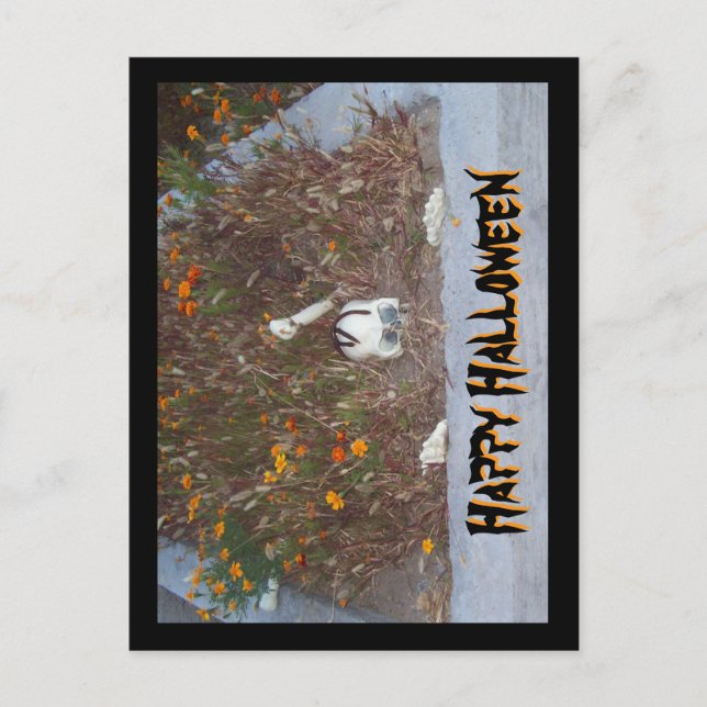 Happy Halloween Faux Skeleton in Marigold Patch Postcard (Front)