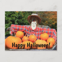 Happy Halloween from The Pumpkin Patch Postcard