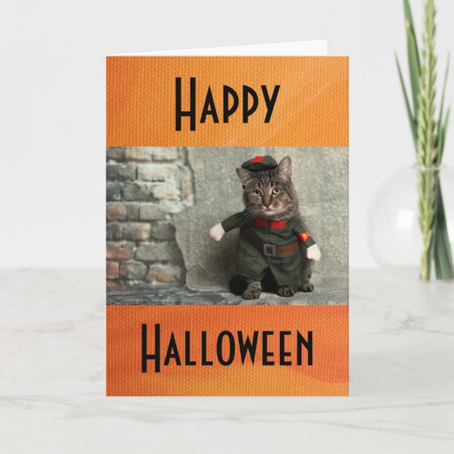 Happy Halloween Funny Cat Costume Humor Card (Front)