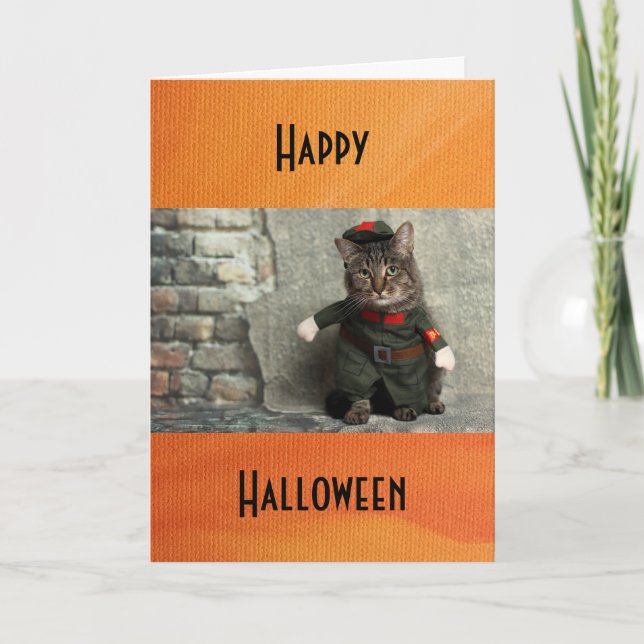 Happy Halloween Funny Cat Costume Humor Card (Front)