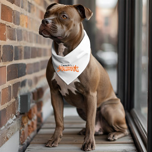 Happy Halloween Gift Pet Bandana Collar