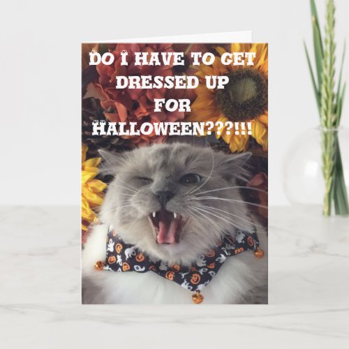 Happy Halloween  Grumpy Cat card