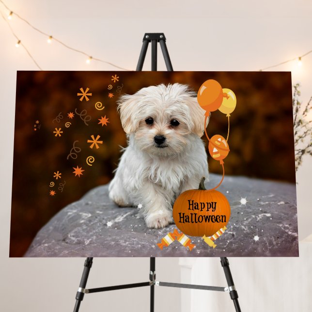 Happy Halloween, Maltese Puppy, Foam Board (In Situ (Stand))