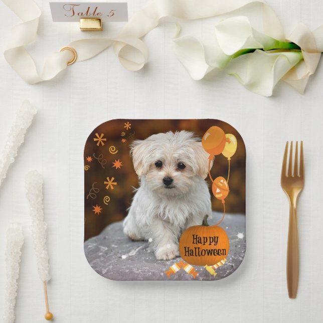 Happy Halloween, Maltese Puppy, Paper Plates (Wedding)